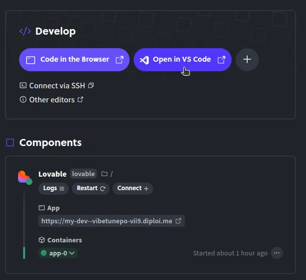 Accesing the remote development environment