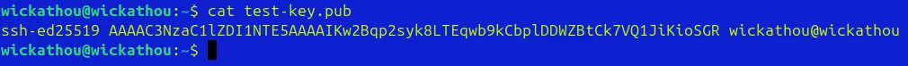 Result from using the cat command on the .pub key generated