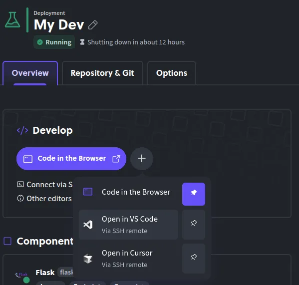 Using a local IDE
