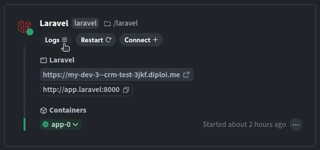 Where to view the Laravel terminal output on Diploi